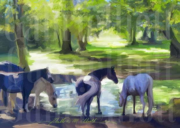 Horses at the River