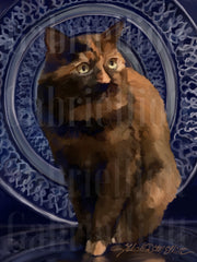 Kitty with Halo
