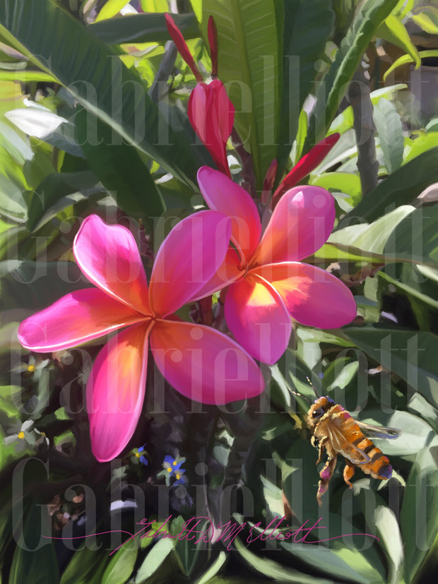 Plumeria Delight