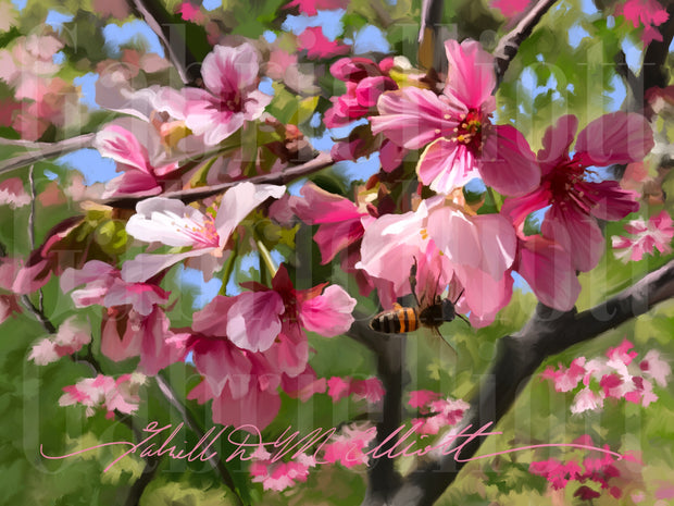 Cherry Blossom Romance