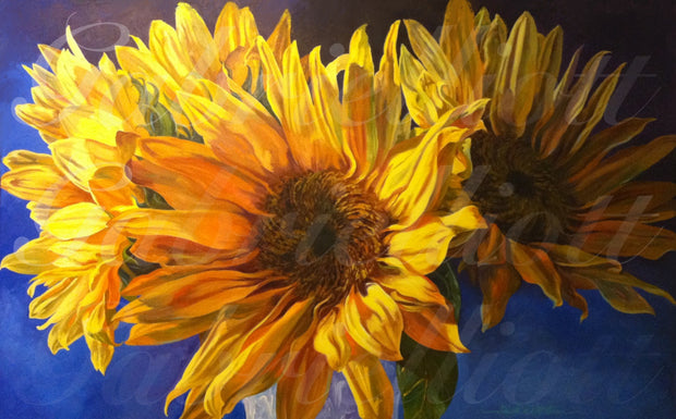 Sunflowers